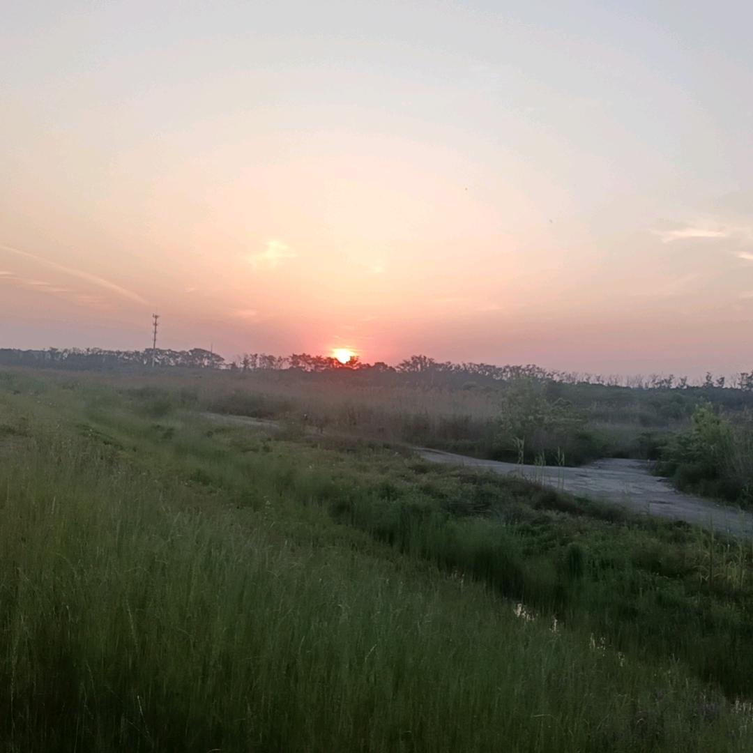 @࿐᭄🍒ღ💞梅ℋ᭄