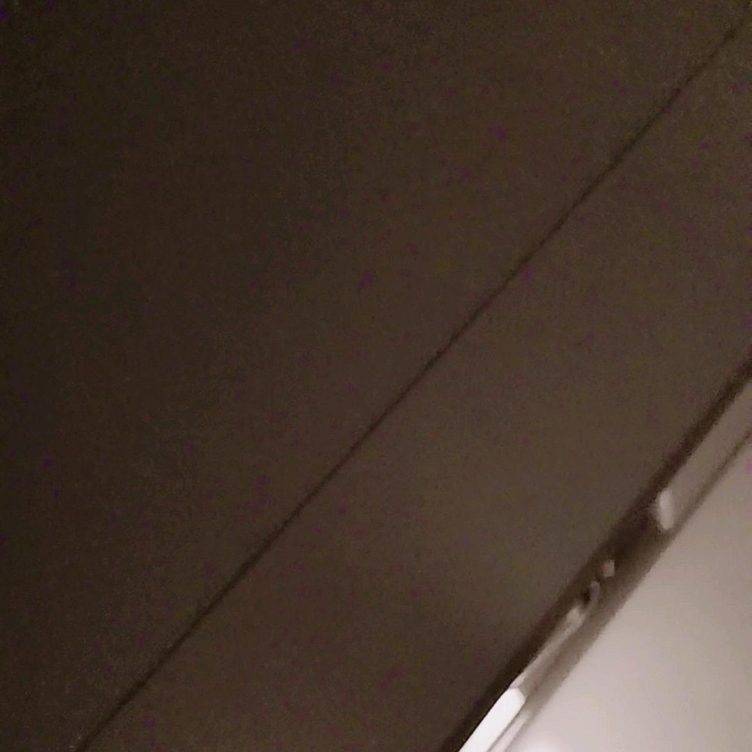 横行小书童