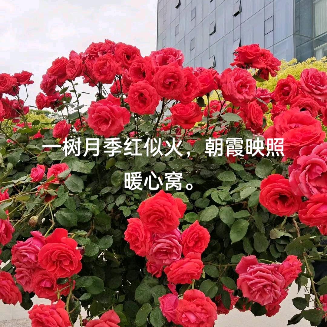 用户952591036985幸福安康