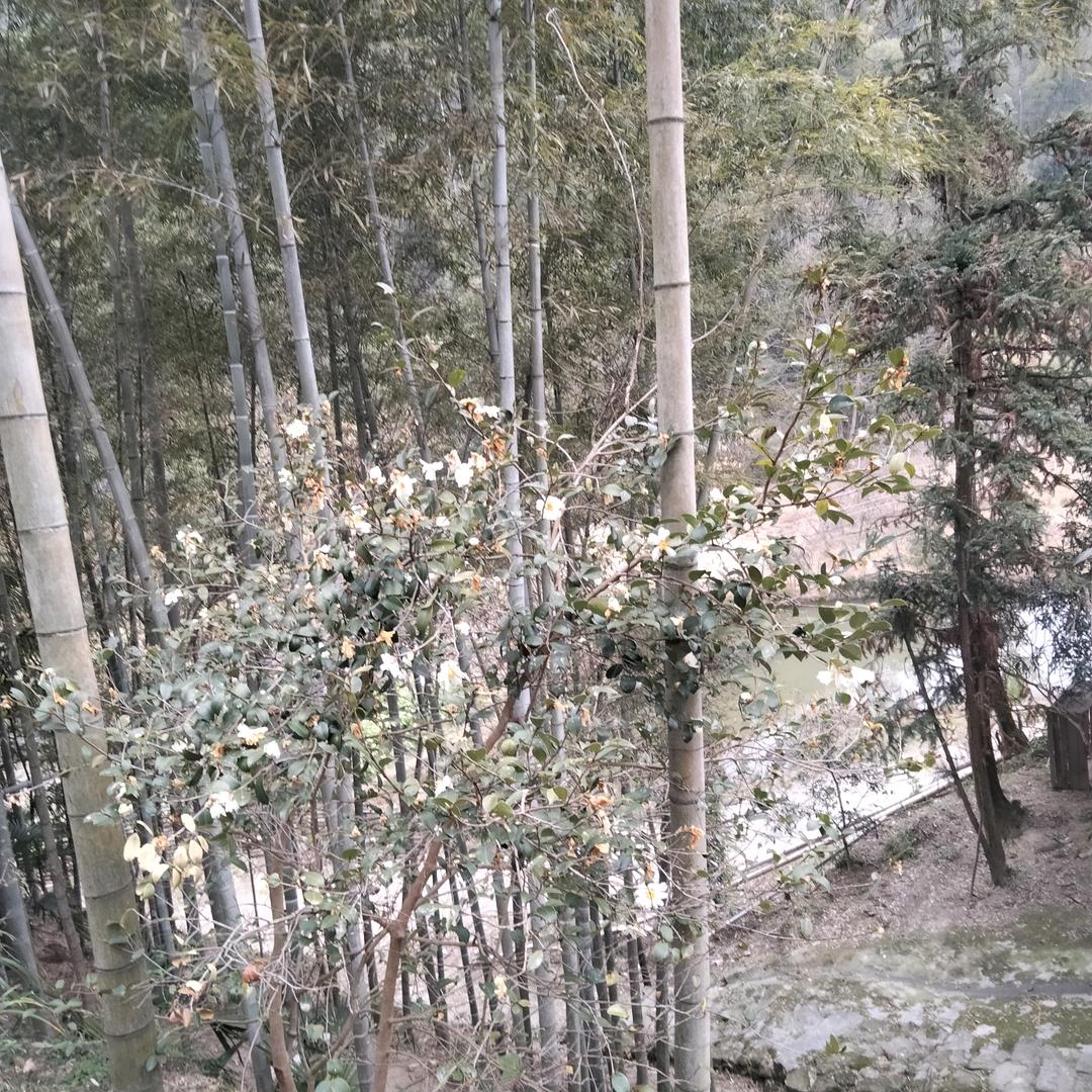 平安常相伴