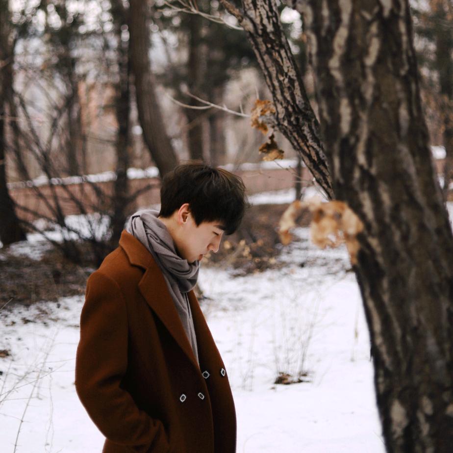 夜猫不是夜猫子