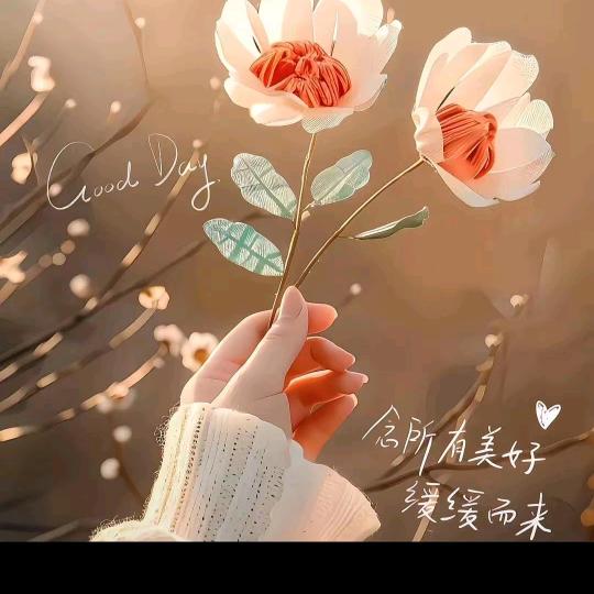 💗᭄余生ᝰᩚ随心ꦿ໌: 💓:🍉