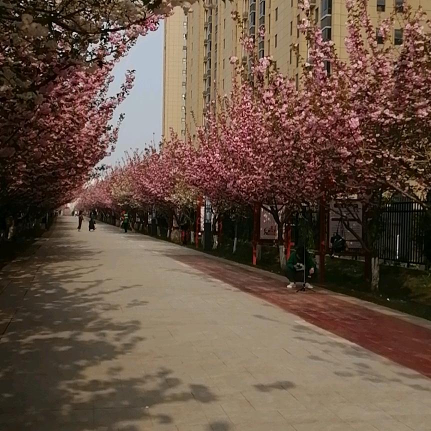 苏玉梅