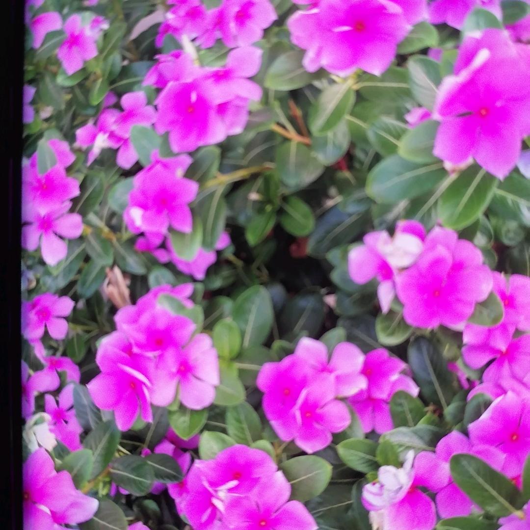 乓立生年亚孝尘