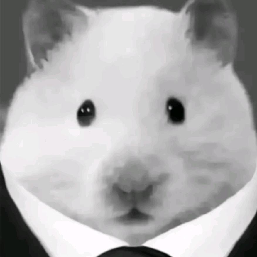 圆周率没有尽头