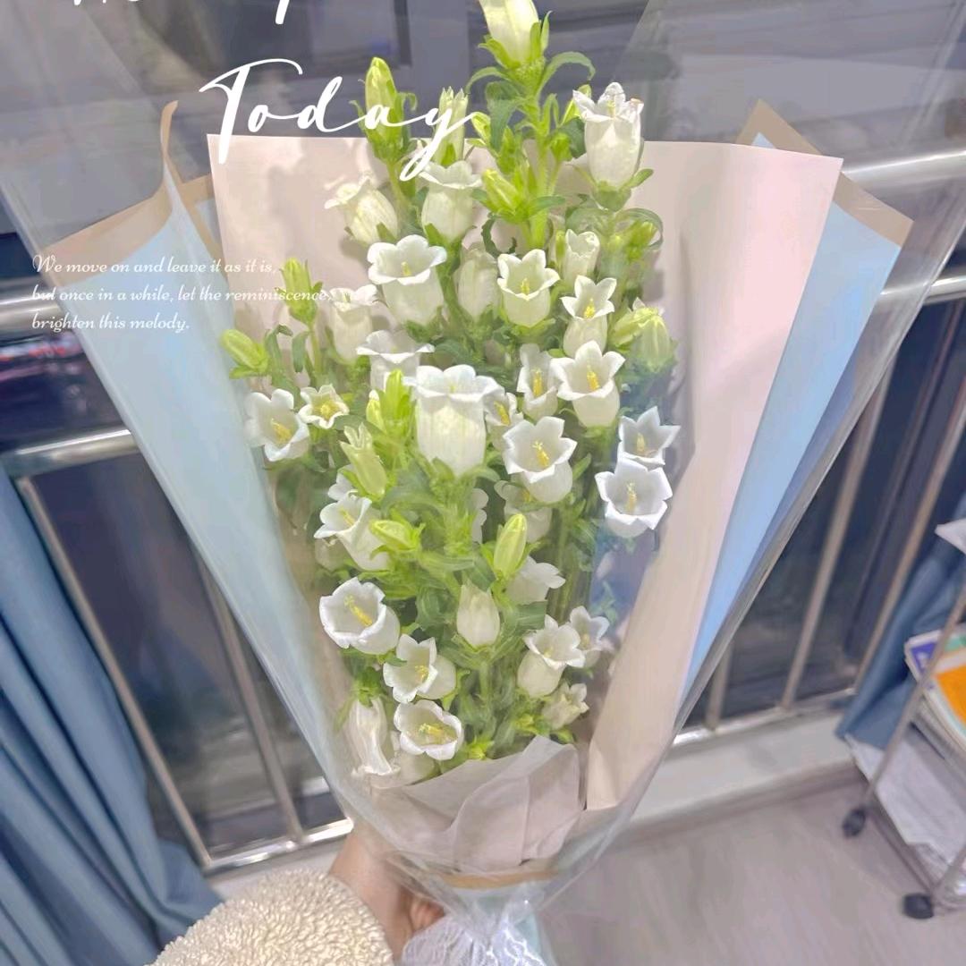 ☀️开心的梅梅☀️