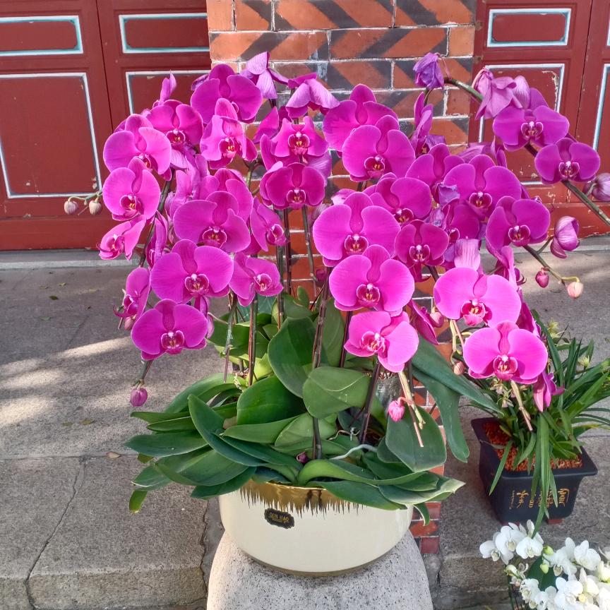 小魚吃到大魚