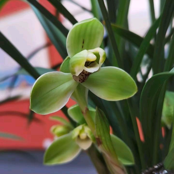 设计张景观美学