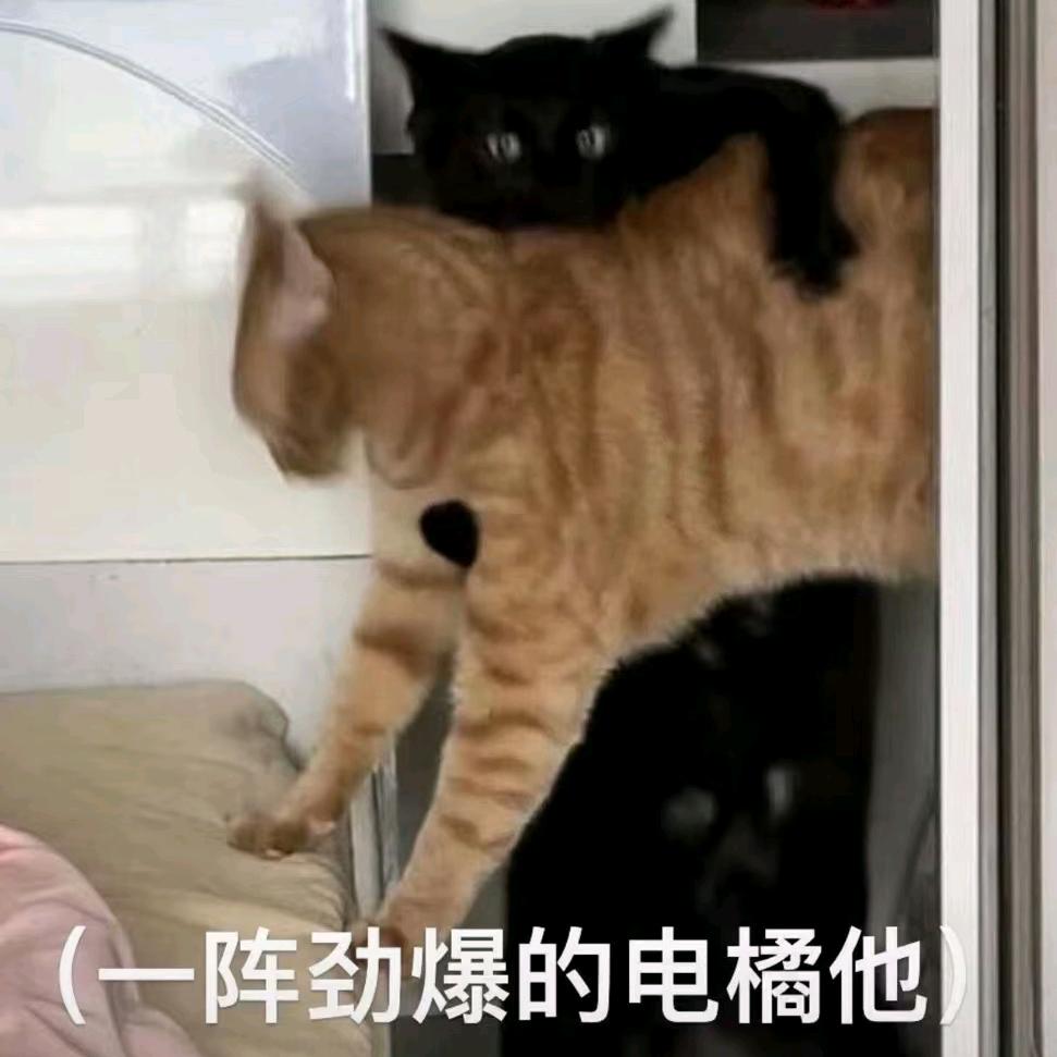 贰叁得玖