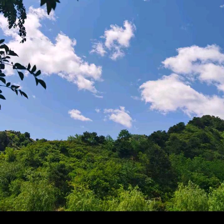 明天会更好🌹