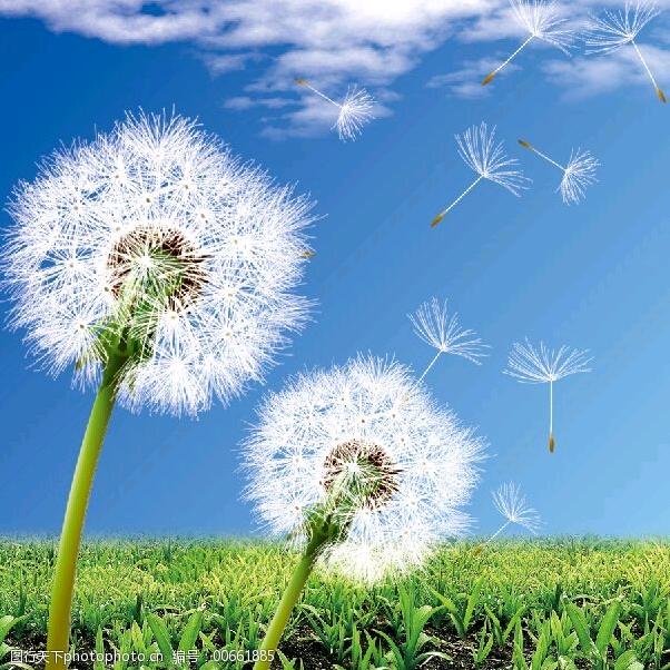 老何户外