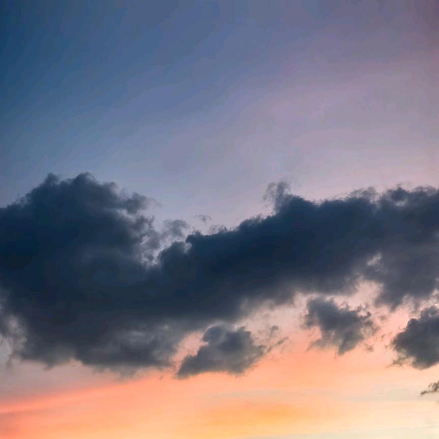 水屯大自然五金城卡菲纳的直播号