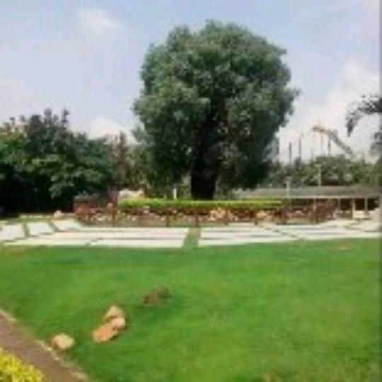 抚州市临川区荣旺钟表行