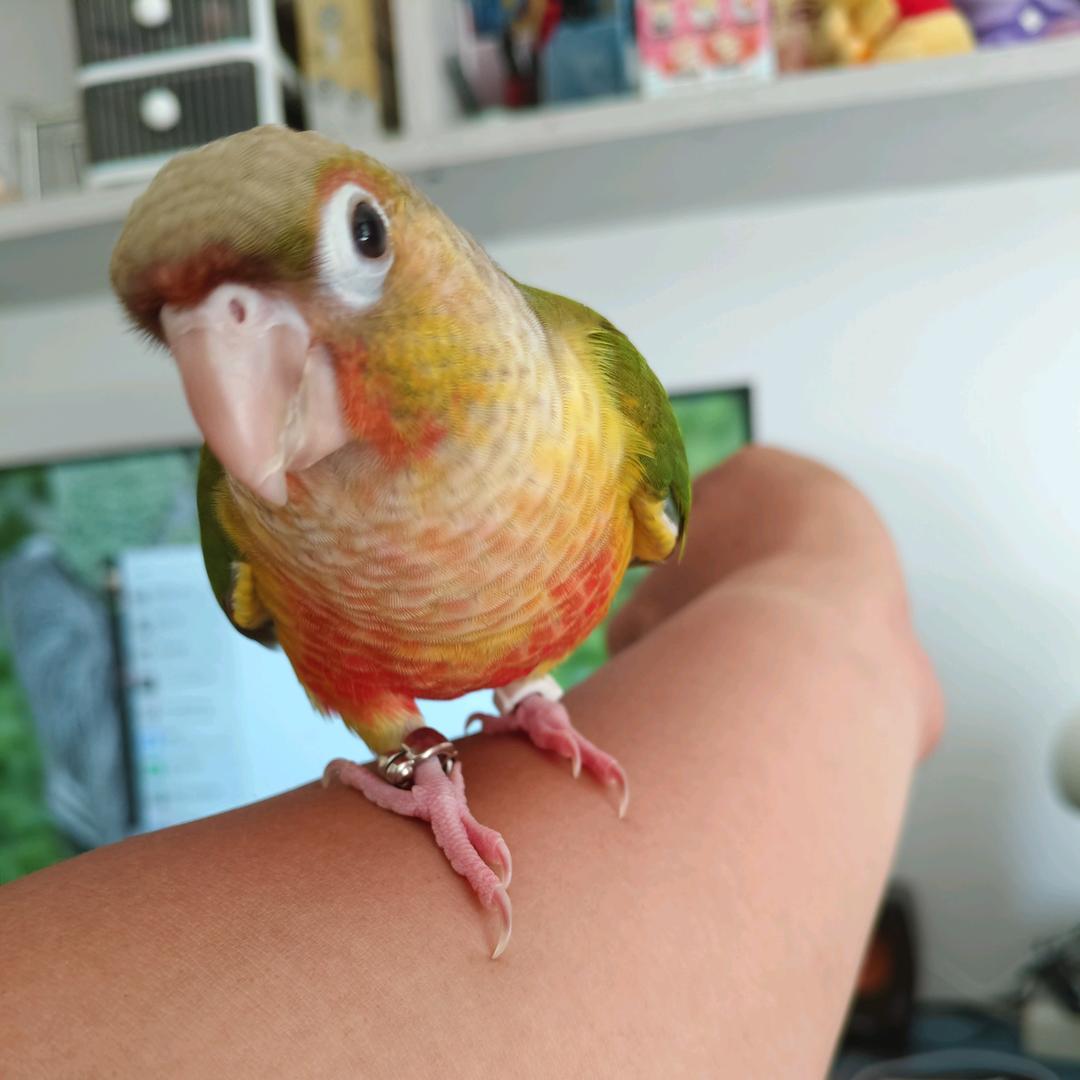 春去秋来