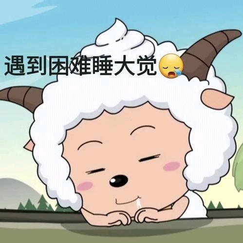 小家伙
