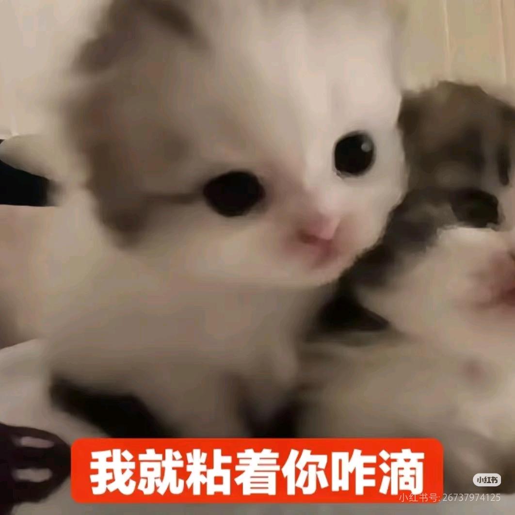 景弥ʚ✞♡（减肥版）