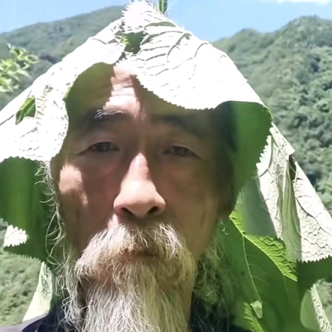 素质少年赵二狗