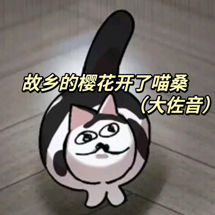 只想躺床