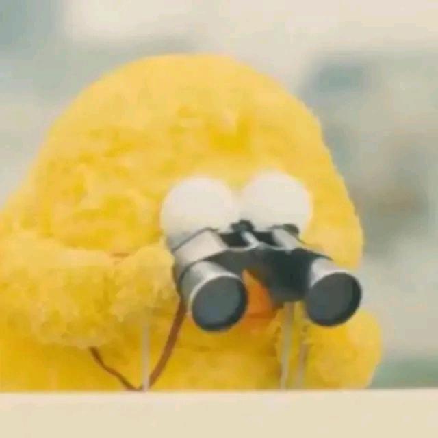 漪漪馨