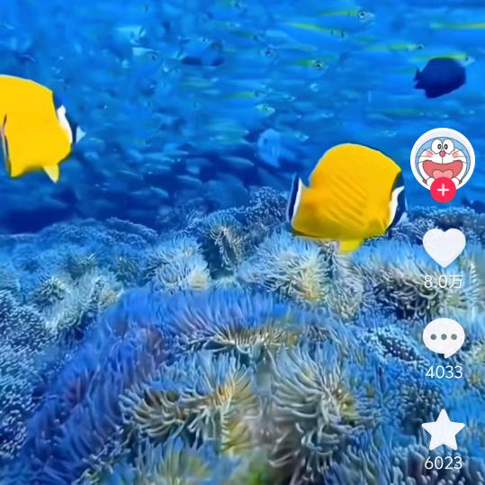 越来越好🪴明天你好