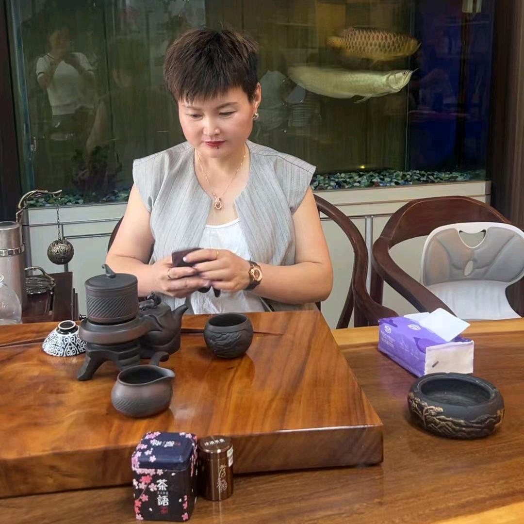 宣城～新实体燕子