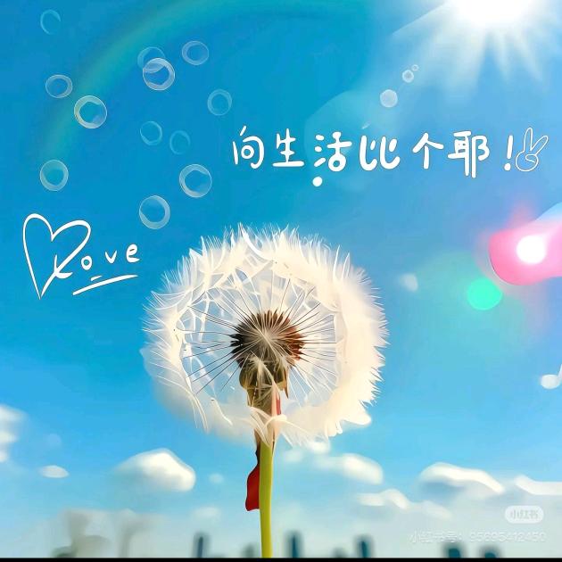 ☞锦绣前程☜