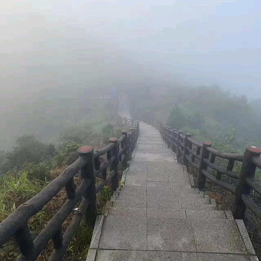 喜欢听伤感情歌