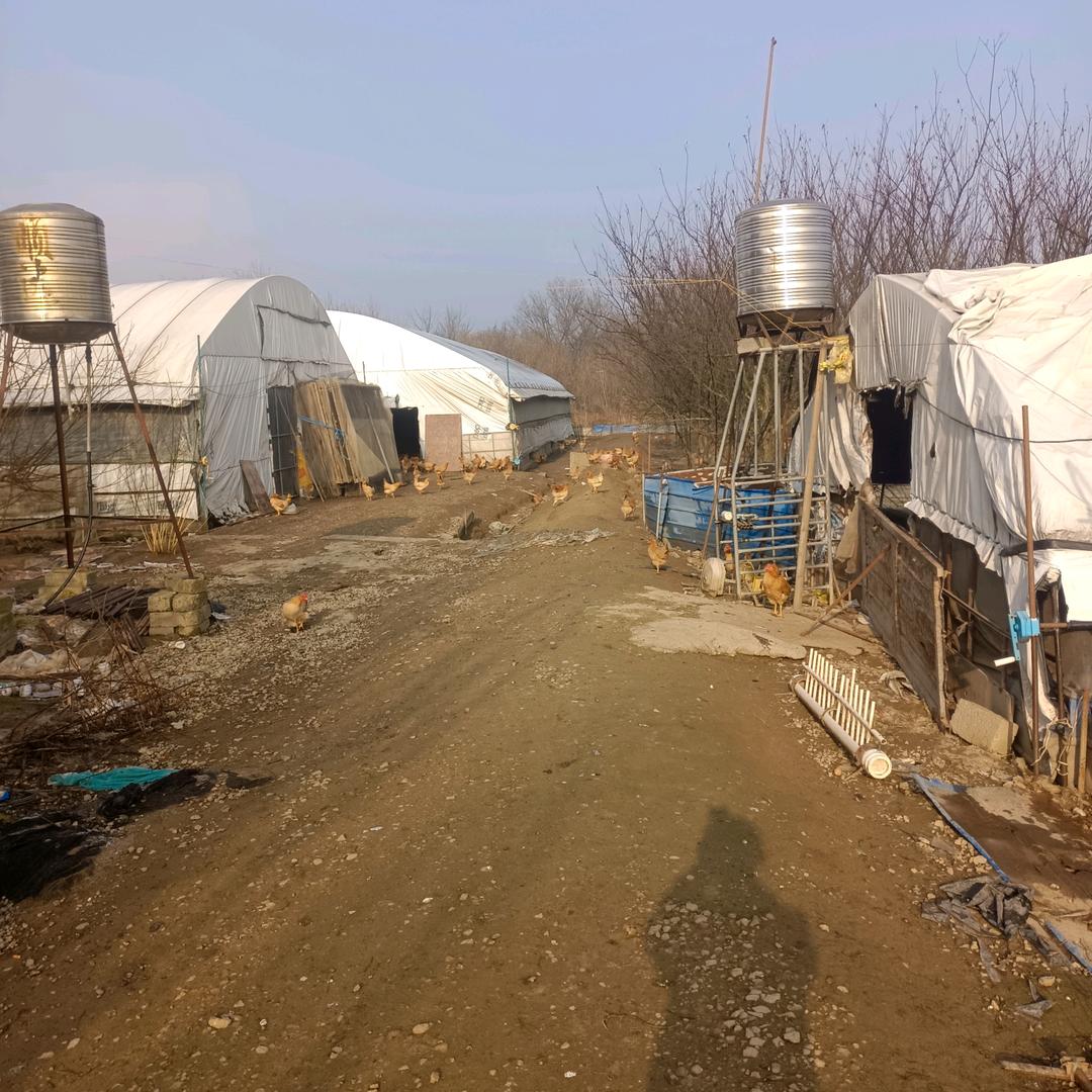 夕阳无限好天天都开心，