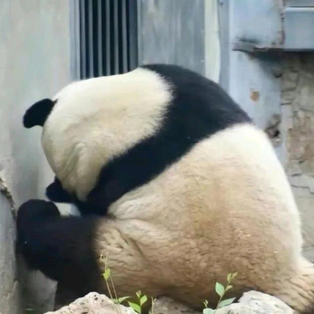 格格～吉祥