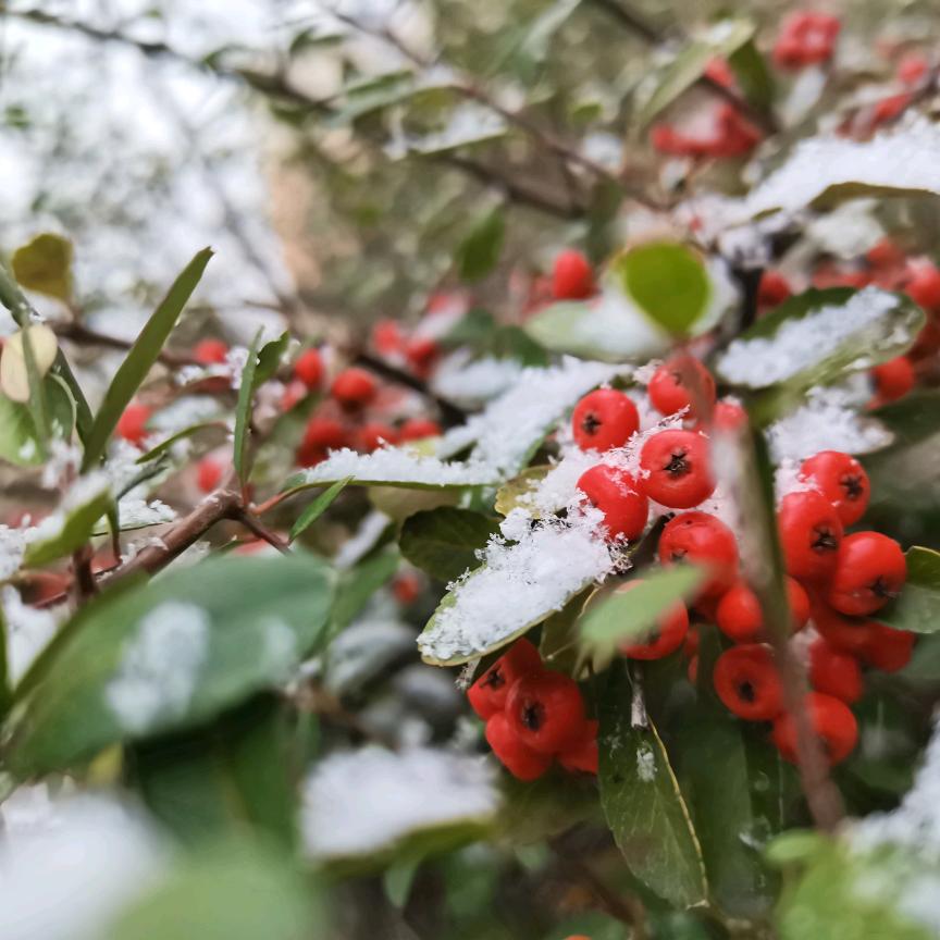啄木鸟女鞋 A仓