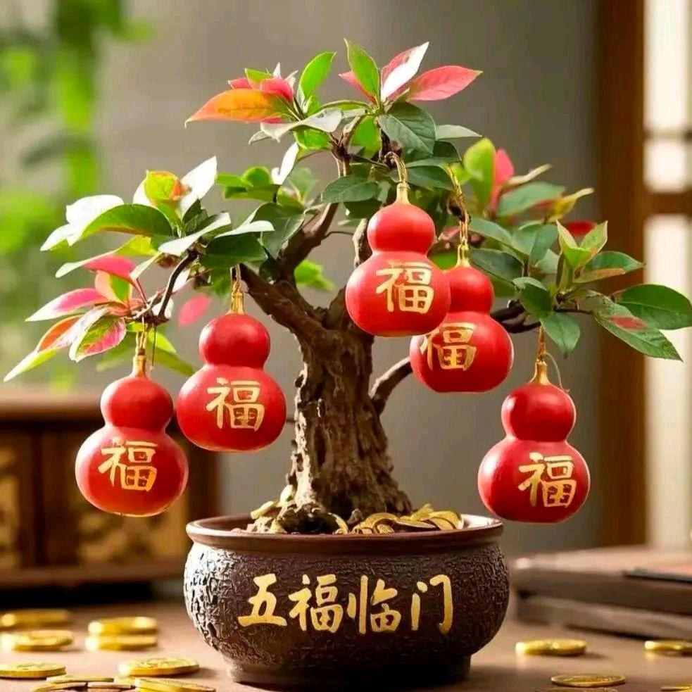 开心果