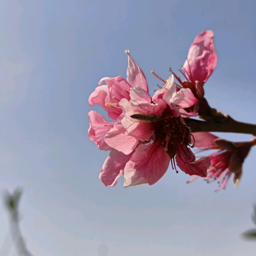 浅笑不语