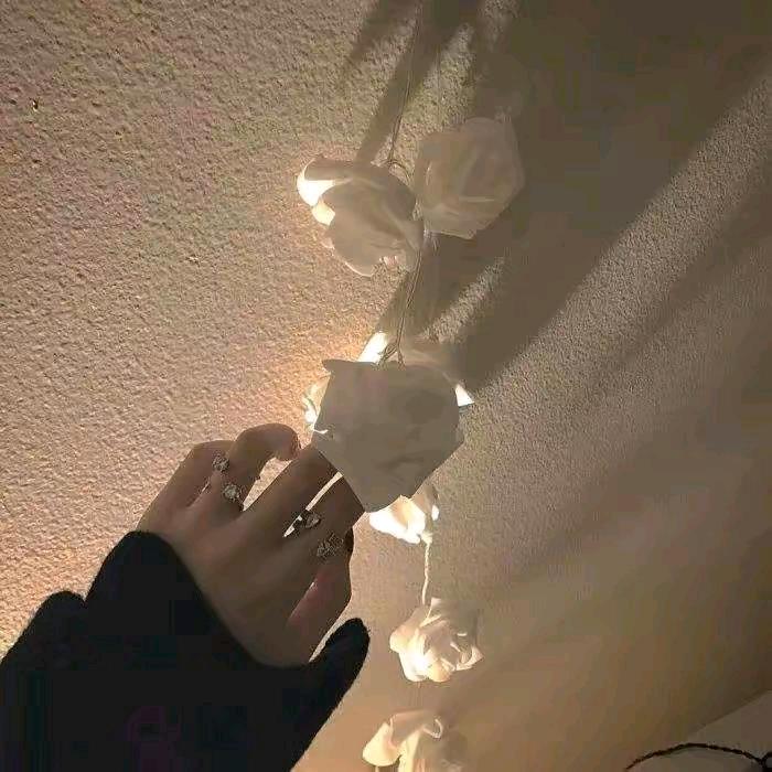 自然ォ美