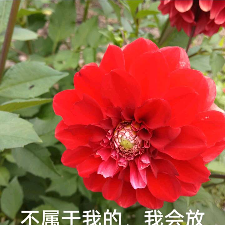 未来可期。从此不再打扰