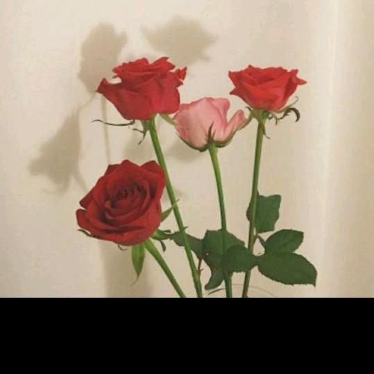 水清梦澜 💝  静如繁花 （拒绝私聊）