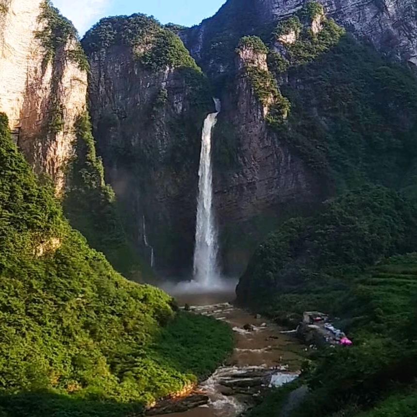 老阿婆的养鸡日常