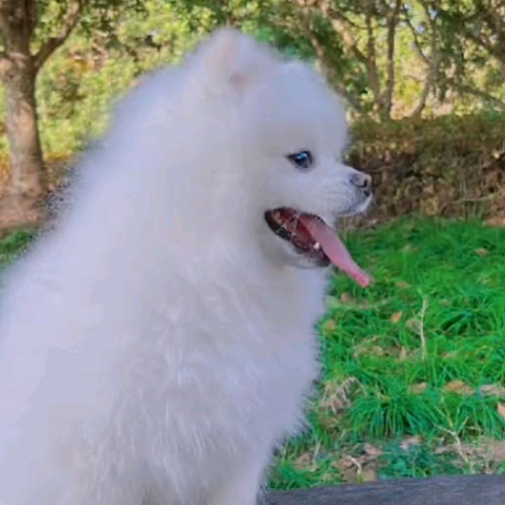 一人