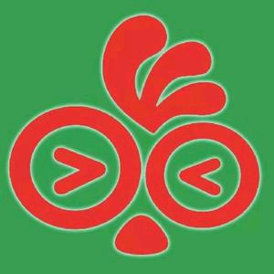 孝感老香港炸鸡（店长）