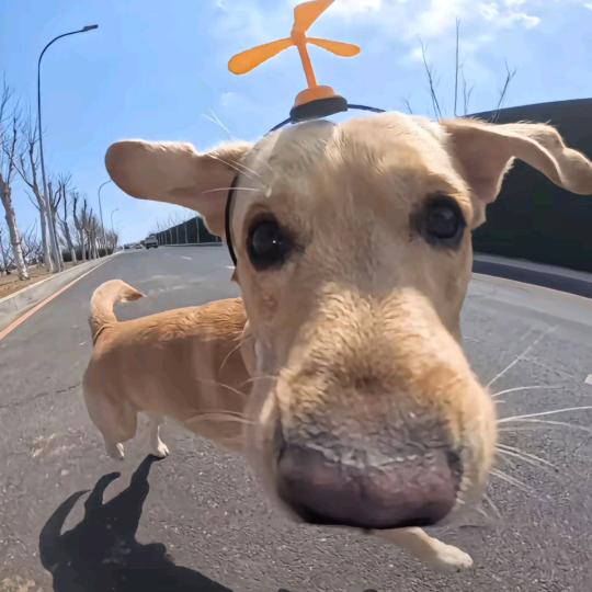 轻语