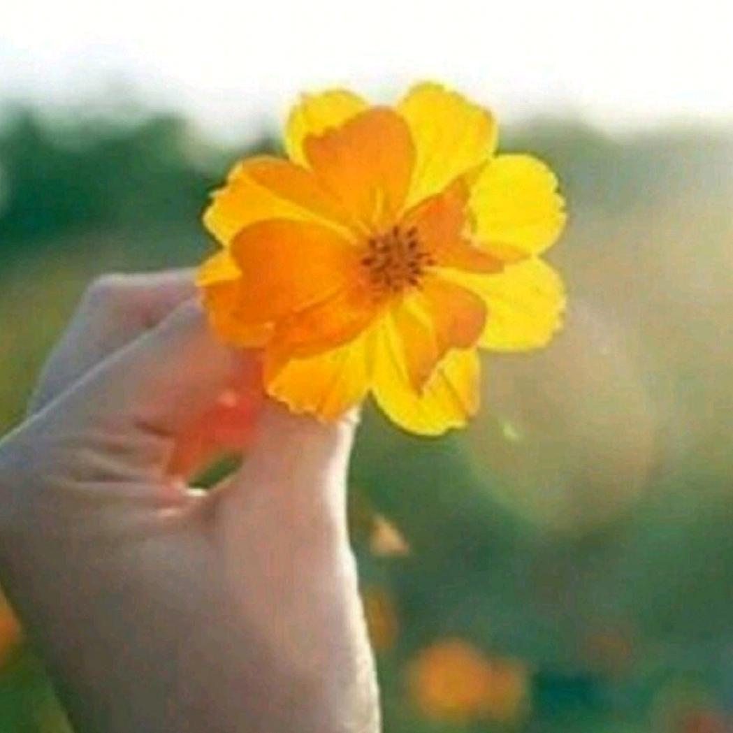 小幸运🎵🌞