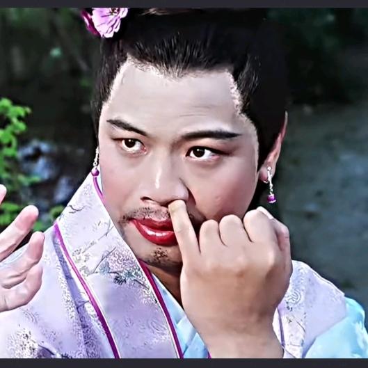 如花岁月