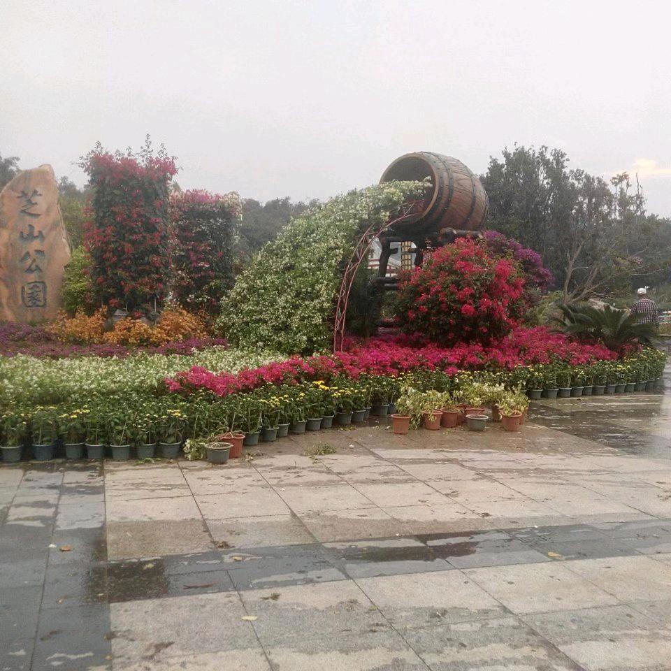 明天更好