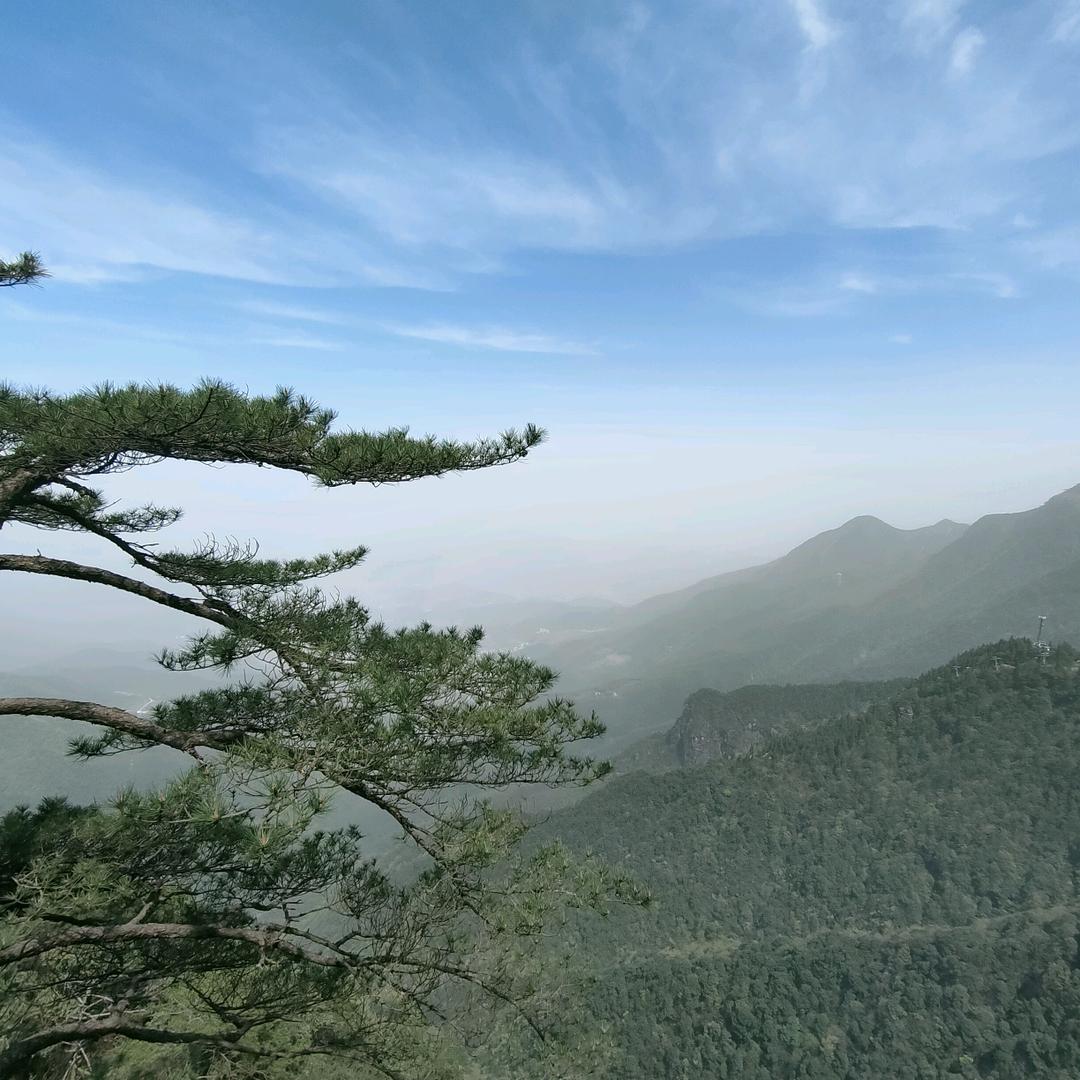 职教李老师