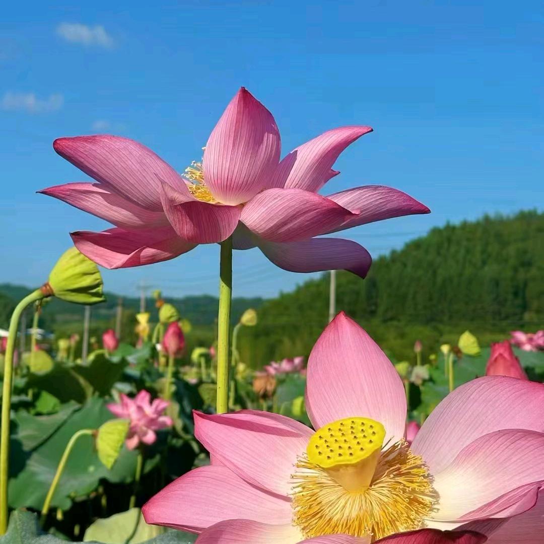 幸福永远有你