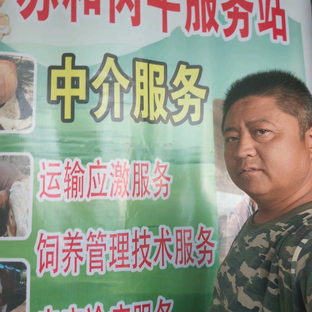 肉牛养殖服务超人