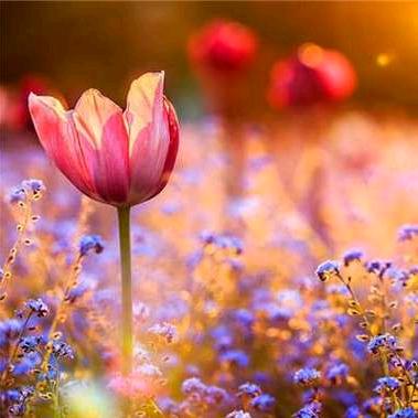 🌈霸道是我的个性