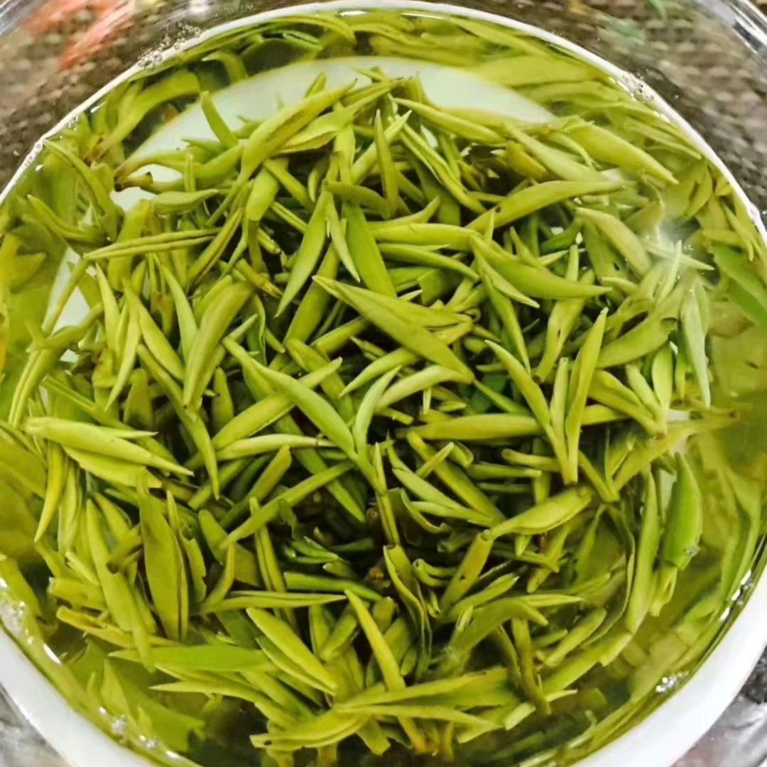 跟杰哥喝好茶