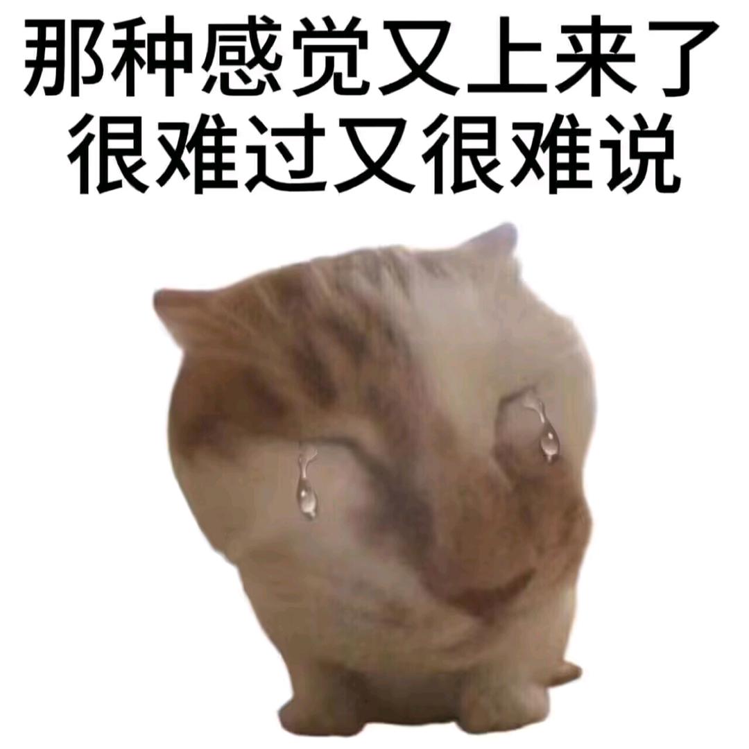 水长东
