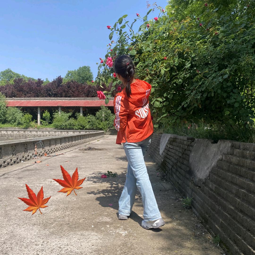 枫叶🍁🍁