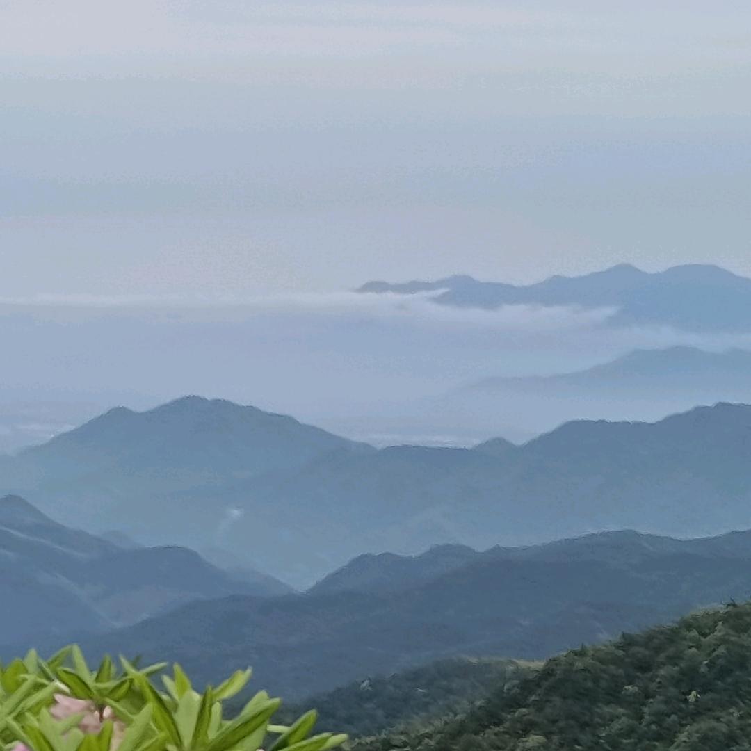 自然之旅